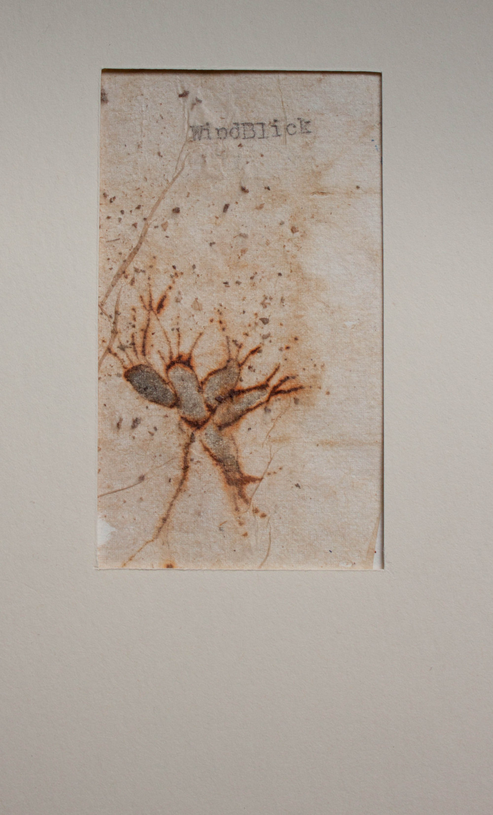 WindBlick | 2010 | watercolor and typewriter on used teabag